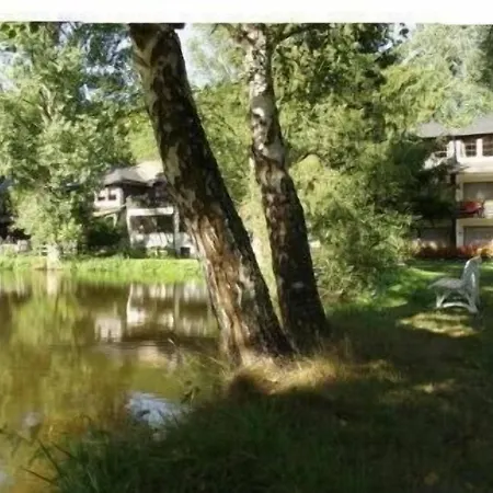 Land-gut-hotel Forellenhof Bundenbach