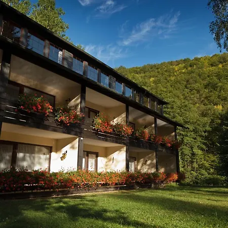 Land-gut-hotel Forellenhof Bundenbach