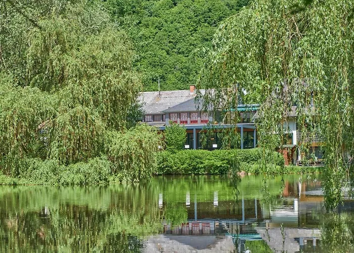 Hotel Land-gut-hotel Forellenhof 3*