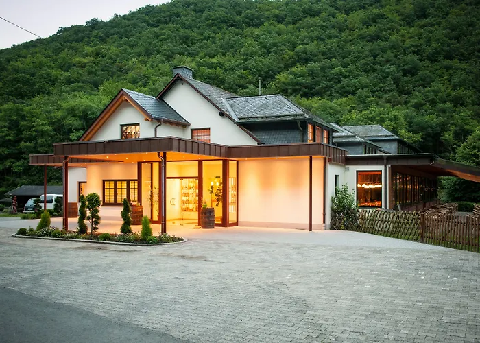 弗棱霍夫兰德戈特酒店 3* Bundenbach