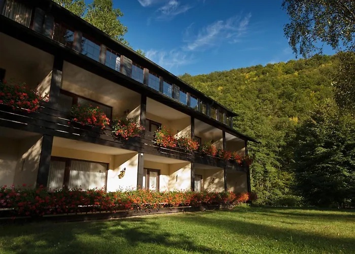 Land-gut-hotel Forellenhof Bundenbach